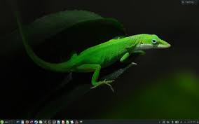 openSUSE lzard.jpeg
