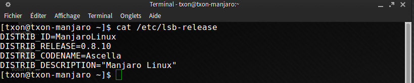 Manjaro release 0.8.10 small.png