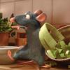 Ratatouille's Photo